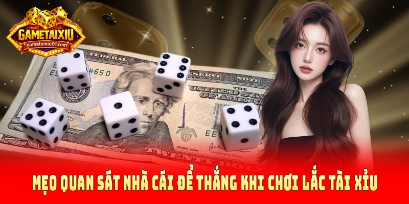 Mẹo quan sát nhà cái để thắng khi chơi lắc tài xỉu