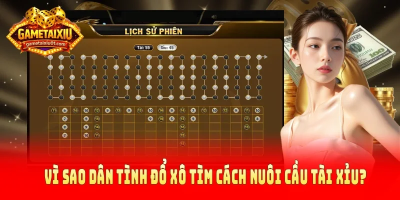 Vì sao dân tình đổ xô tìm cách nuôi cầu tài xỉu?